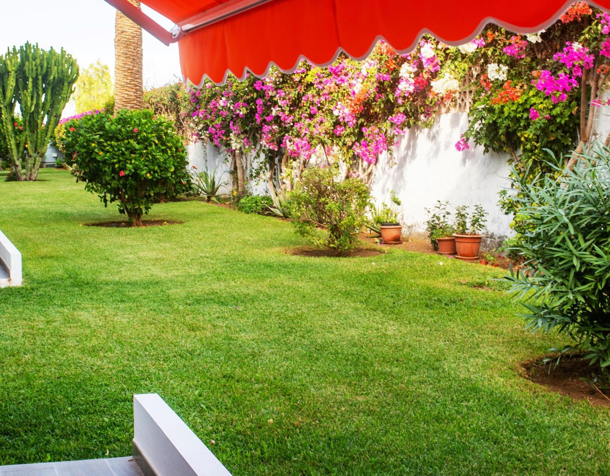 Casa Tranquila Apartment Puerto de la Cruz  Exterior foto